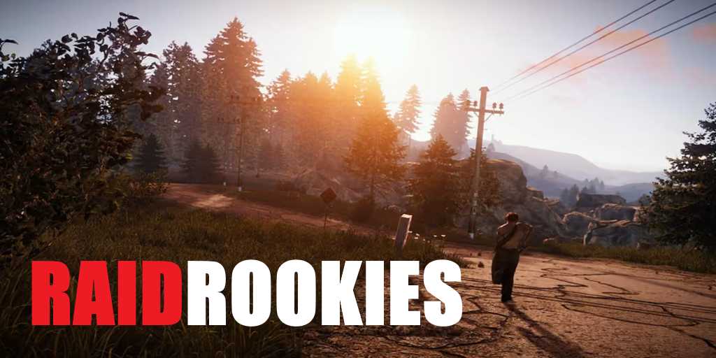 RAIDROOKIES | Casual Solo/Duo | ENG/GER image