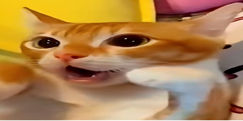 [KR] Meow 3X PVP  | Monthly